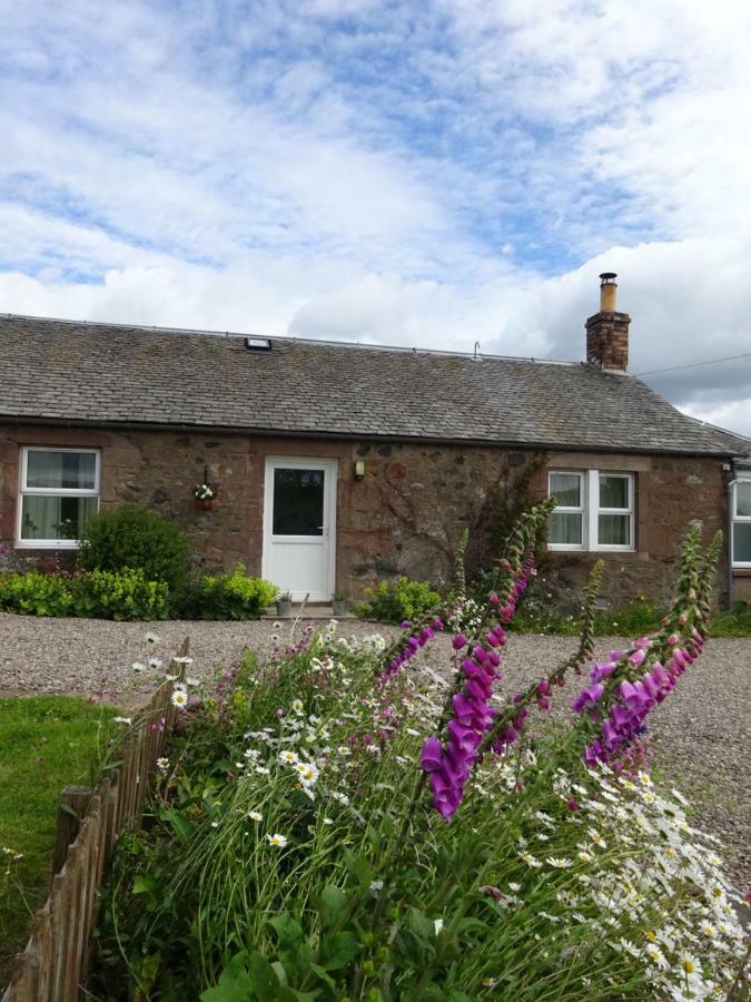 Incheoch Farm Cottage Kilry 외부 사진